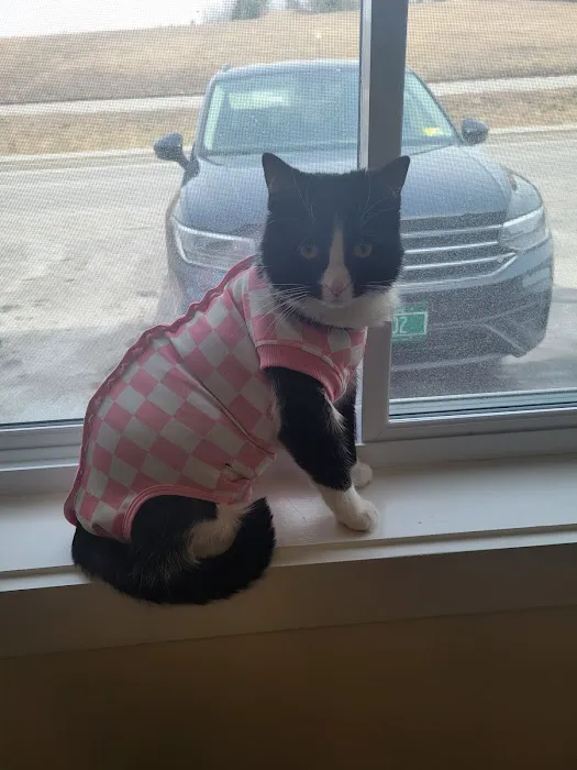 Montpelier Veterinary Hospital Picture 6