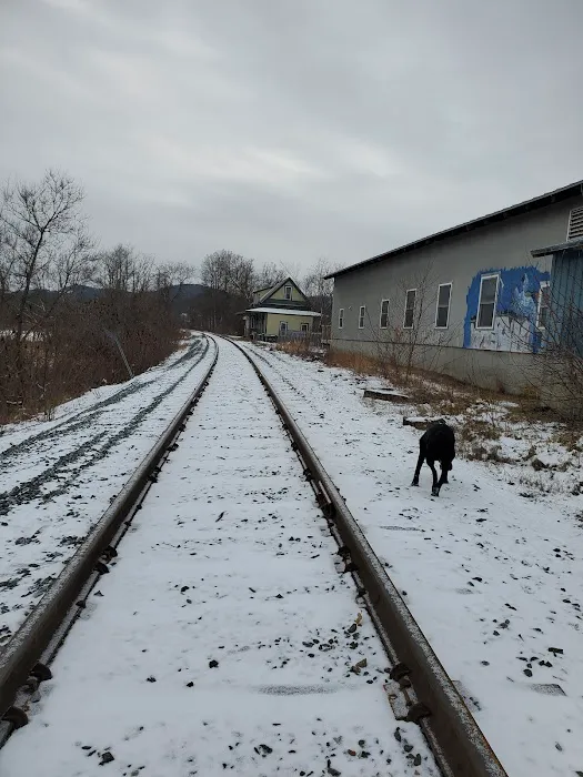 Oxbow Veterinary Clinic Picture 5