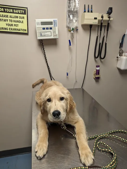 Bradford Veterinary Clinic Picture 3