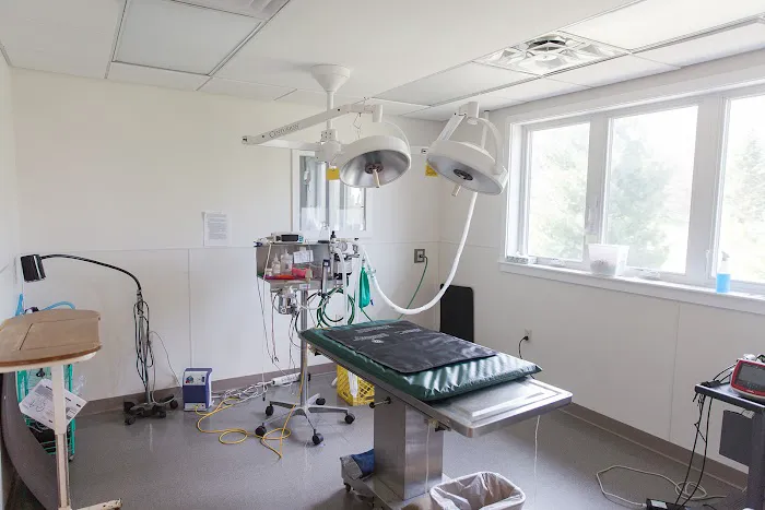 Bristol Animal Hospital Picture 2