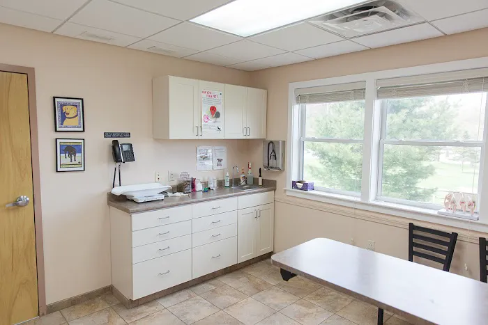 Bristol Animal Hospital Picture 4