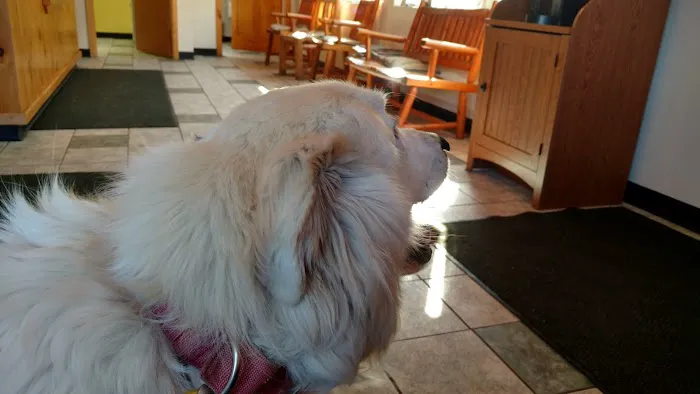 Adirondack Veterinary Hospital Picture 1