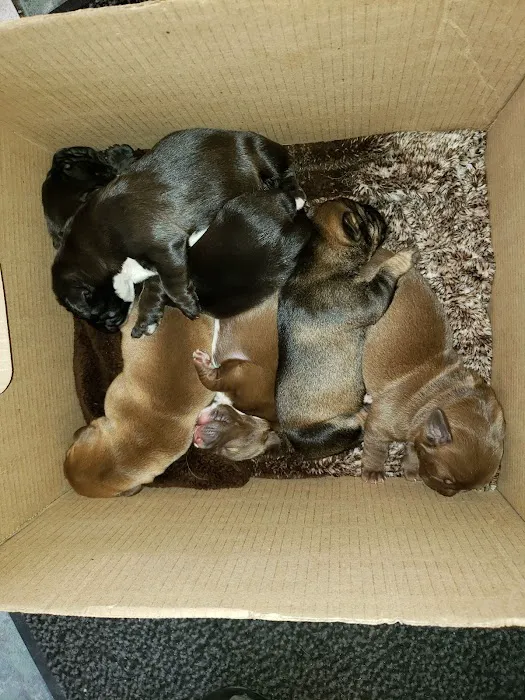 Adirondack Veterinary Hospital Picture 7