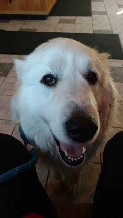 Adirondack Veterinary Hospital Picture 5