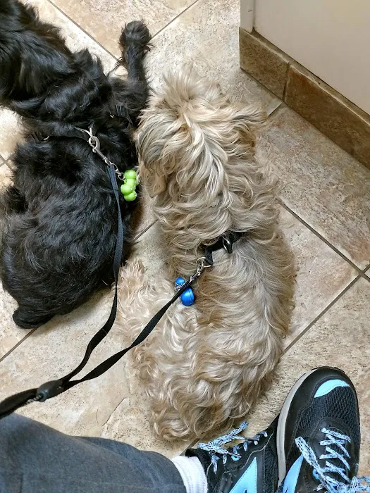 Animal Hospital of Hinesburg Picture 3