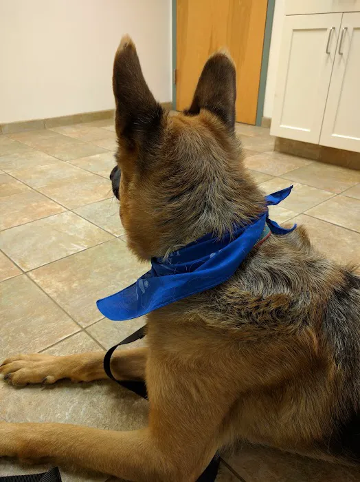 Animal Hospital of Hinesburg Picture 10