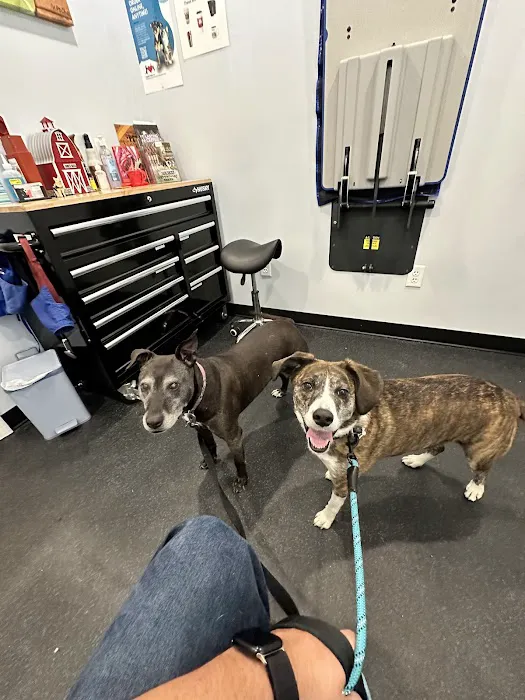 Healthy Heart Veterinary Clinic Picture 4