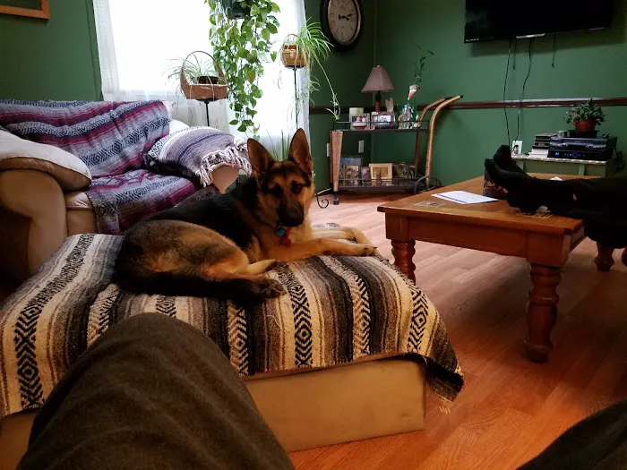 Healthy Heart Veterinary Clinic Picture 5