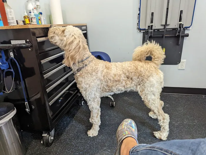 Healthy Heart Veterinary Clinic Picture 10