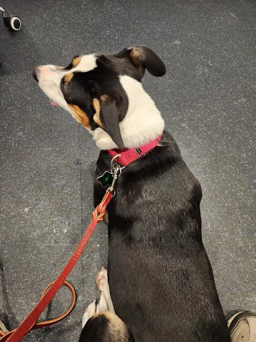 Healthy Heart Veterinary Clinic Picture 8