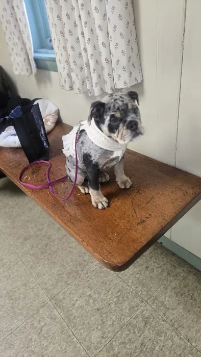 Meredith Animal Hospital Picture 1