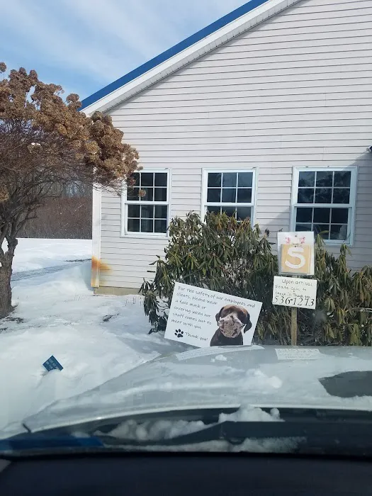 Plymouth Animal Hospital: Tighe Ellyn K DVM Picture 4