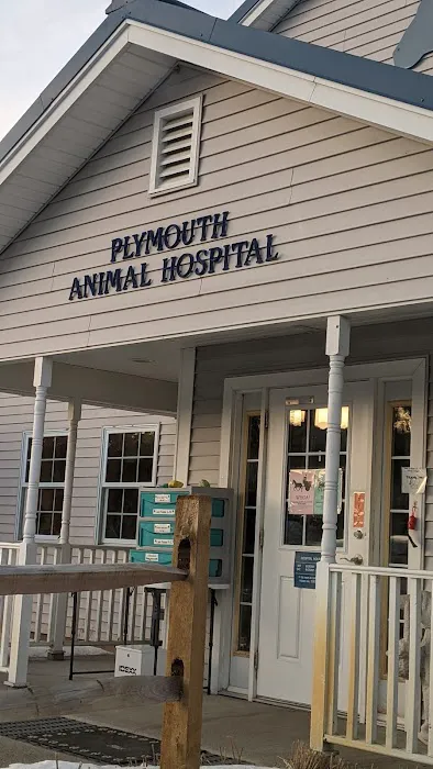 Plymouth Animal Hospital: Tighe Ellyn K DVM Picture 3