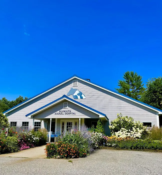 Plymouth Animal Hospital Picture 7