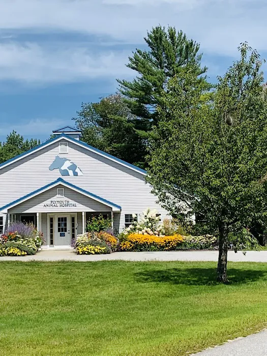 Plymouth Animal Hospital Picture 4