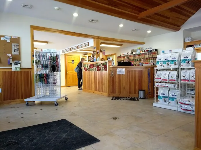 Interlakes Animal Hospital Picture 3