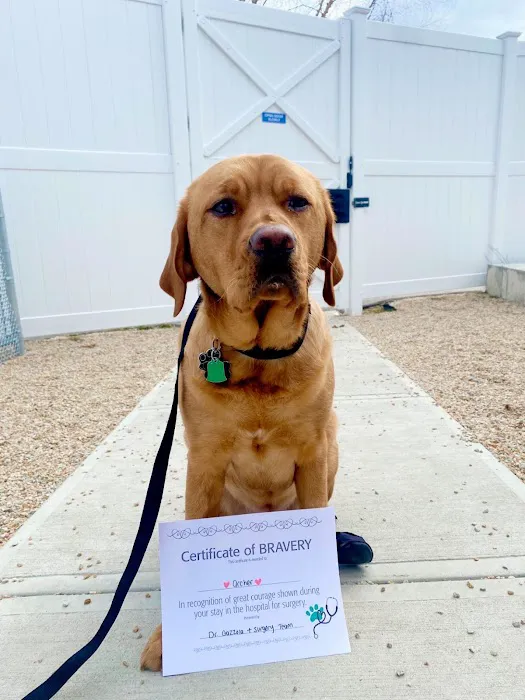 VCA Capital Area Veterinary Emergency and Specialty Picture 5