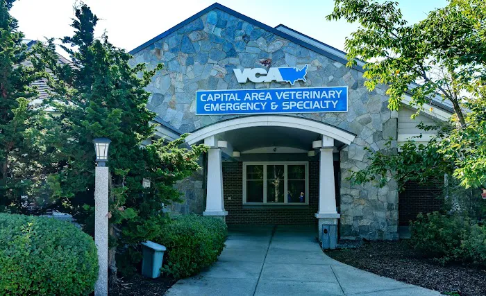 VCA Capital Area Veterinary Emergency and Specialty Picture 4
