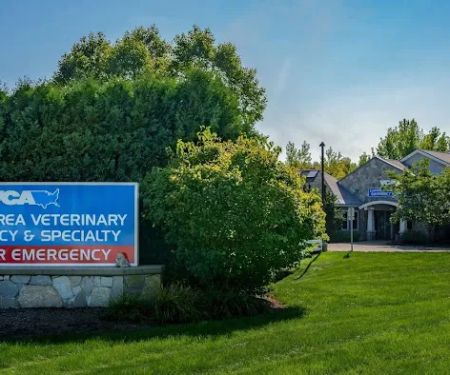VCA Capital Area Veterinary Emergency and Specialty