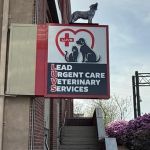 Lead Urgent Care Veterinary Services