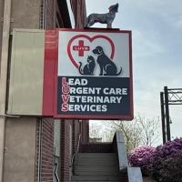 Lead Urgent Care Veterinary Services ico