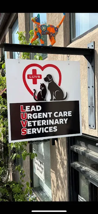 Lead Urgent Care Veterinary Services Picture 8