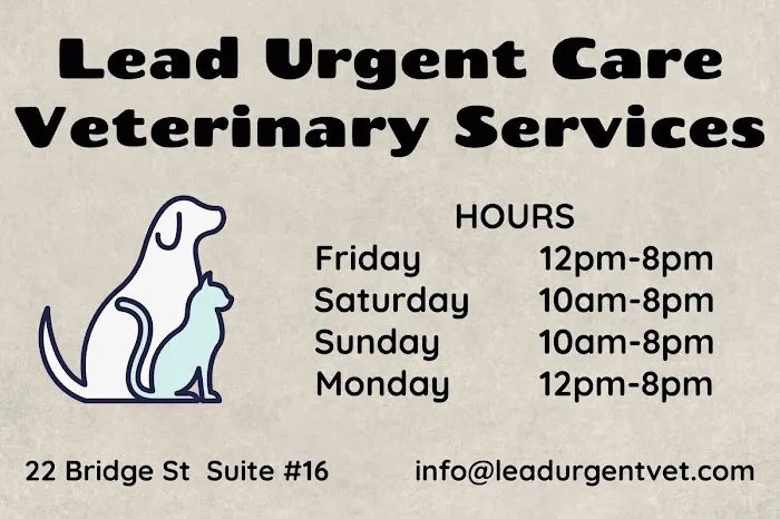 Lead Urgent Care Veterinary Services Picture 9