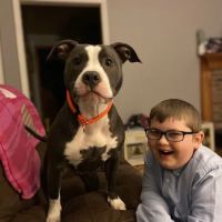 Banfield Pet Hospital ico