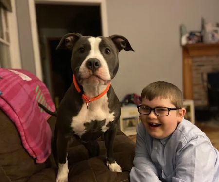 Banfield Pet Hospital