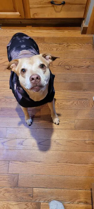 Town & Country Animal Hospital Picture 8