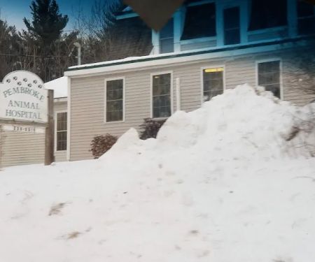 Pembroke Animal Hospital: Luksic Rachel DVM