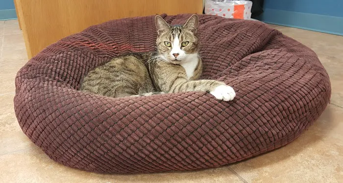 Pembroke Animal Hospital Picture 5