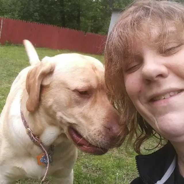 VCA Laconia Animal Hospital Picture 4
