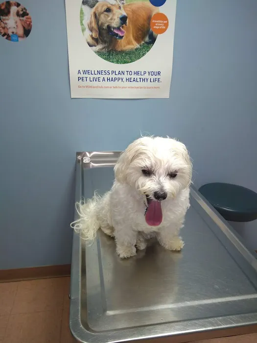 VCA Lakes Region Veterinary Hospital Picture 9