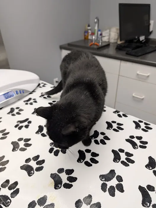 VCA Lakes Region Veterinary Hospital Picture 5