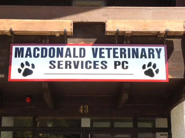 Birch Bark Veterinary Clinic Picture 8
