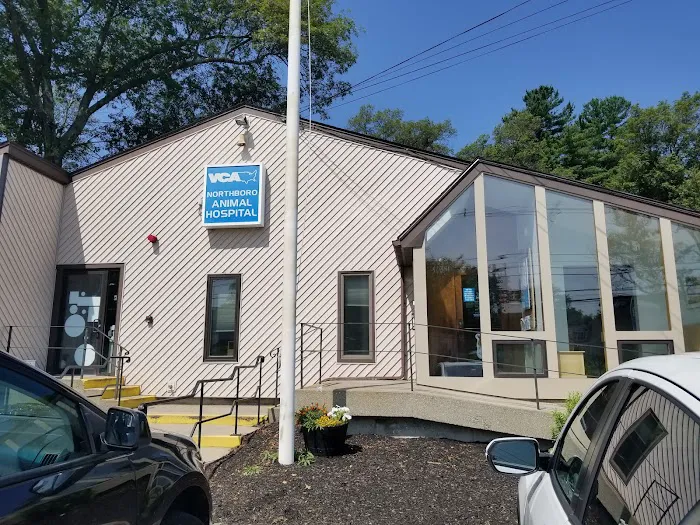 VCA Northboro Animal Hospital Picture 10