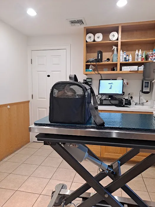 VCA Northboro Animal Hospital Picture 7