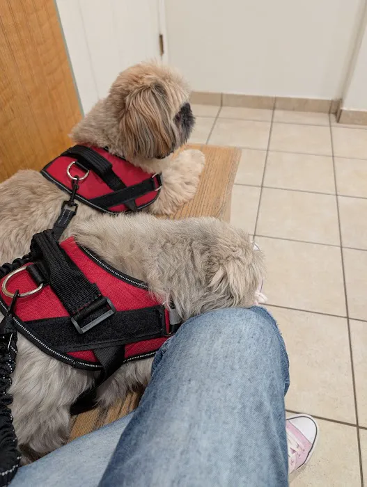 VCA Northboro Animal Hospital Picture 3