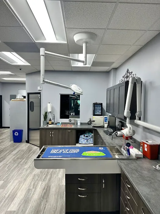 Artemis Veterinary Picture 5