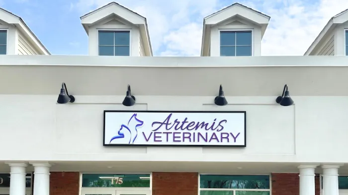 Artemis Veterinary Picture 10