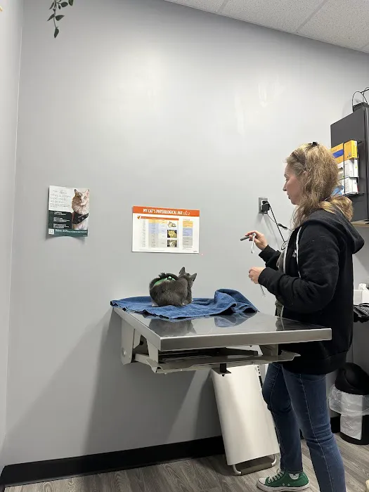 Artemis Veterinary Picture 3