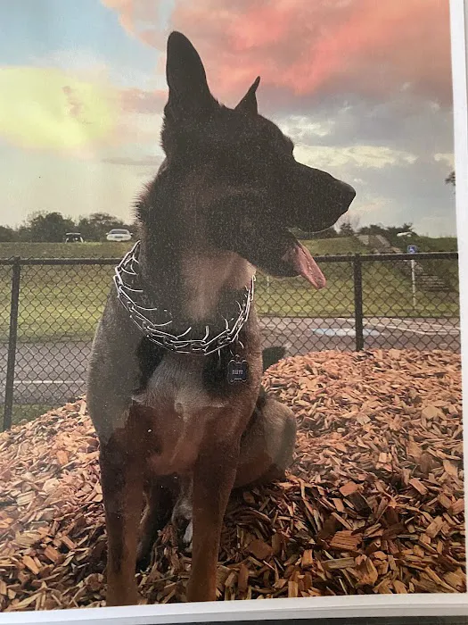 Lincoln Animal Hospital Picture 5