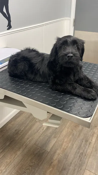 Lincoln Animal Hospital Picture 6