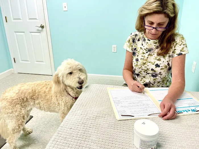 Main Street Veterinary Hospital Picture 1
