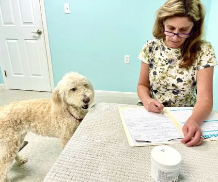 Main Street Veterinary Hospital