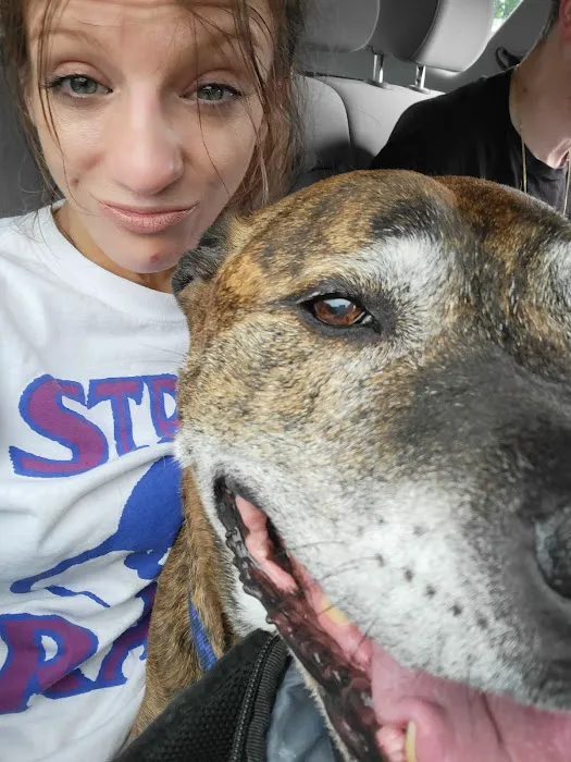 Banfield Pet Hospital Picture 4