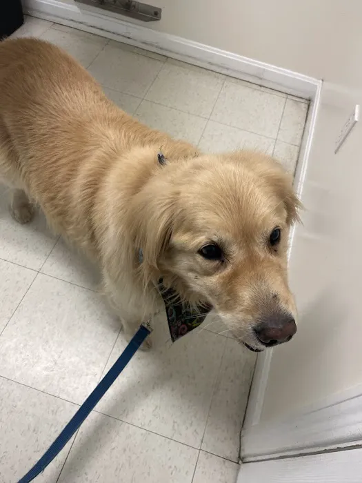 Banfield Pet Hospital Picture 1