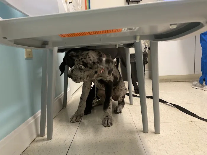 Banfield Pet Hospital Picture 3