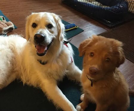 Vetco Total Care - Cody Pet Hospital